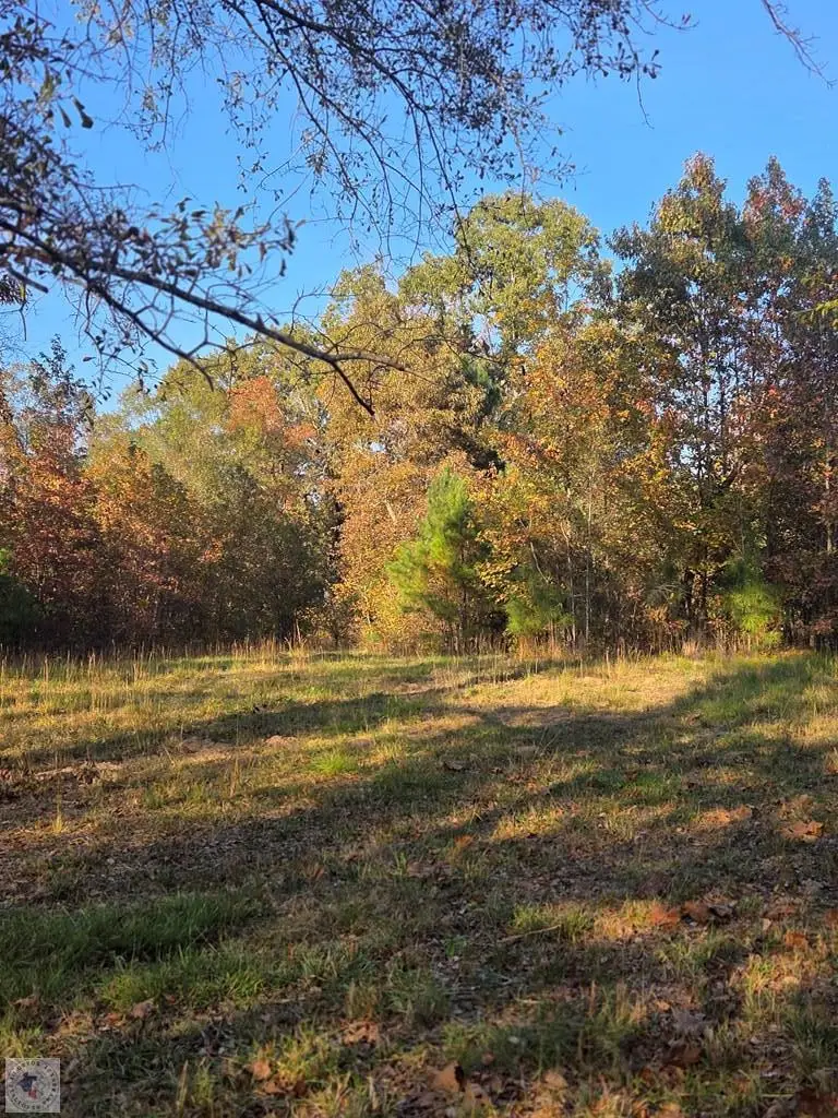 5.5Acres County Road 3117, Clarksville, TX 75426 - Image #3