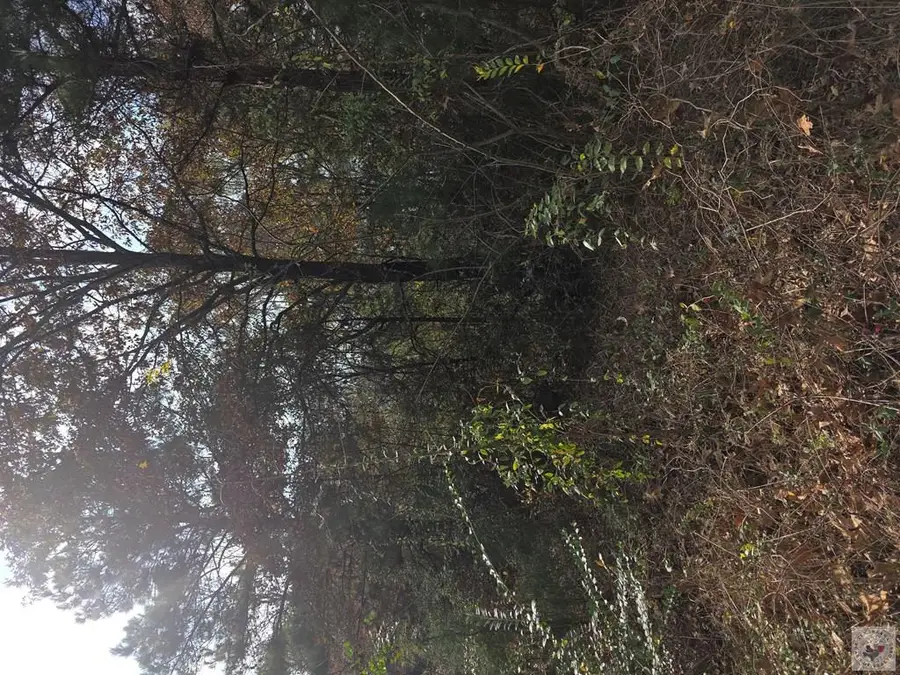 CR 1103, New Boston, TX 75570 - Image #2