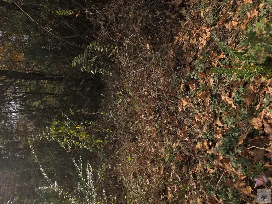 CR 1103, New Boston, TX 75570 - Image #3