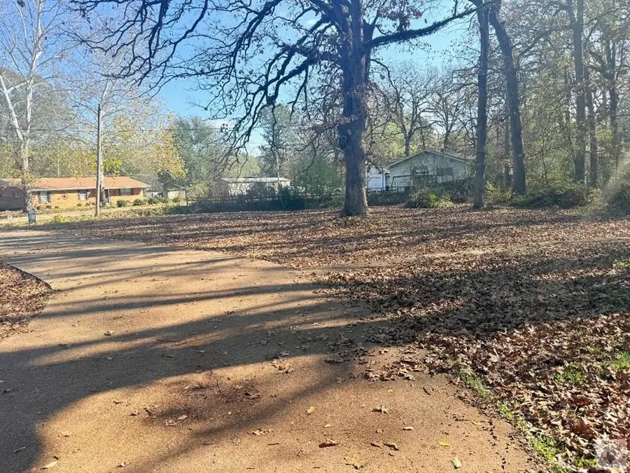 203 Garden St., Hooks, TX 75561 - Image #2