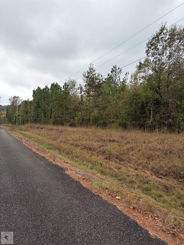 TBD Mc 35, Doddridge, AR 71834