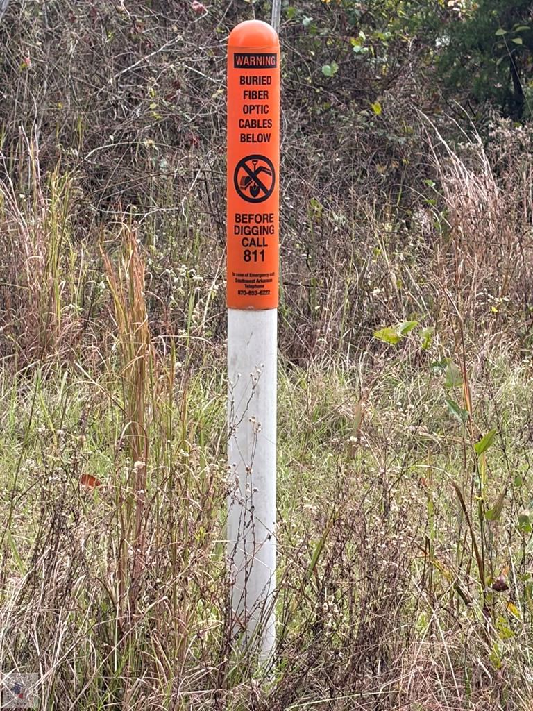 TBD Mc 35, Doddridge, AR 71834 - Image #2