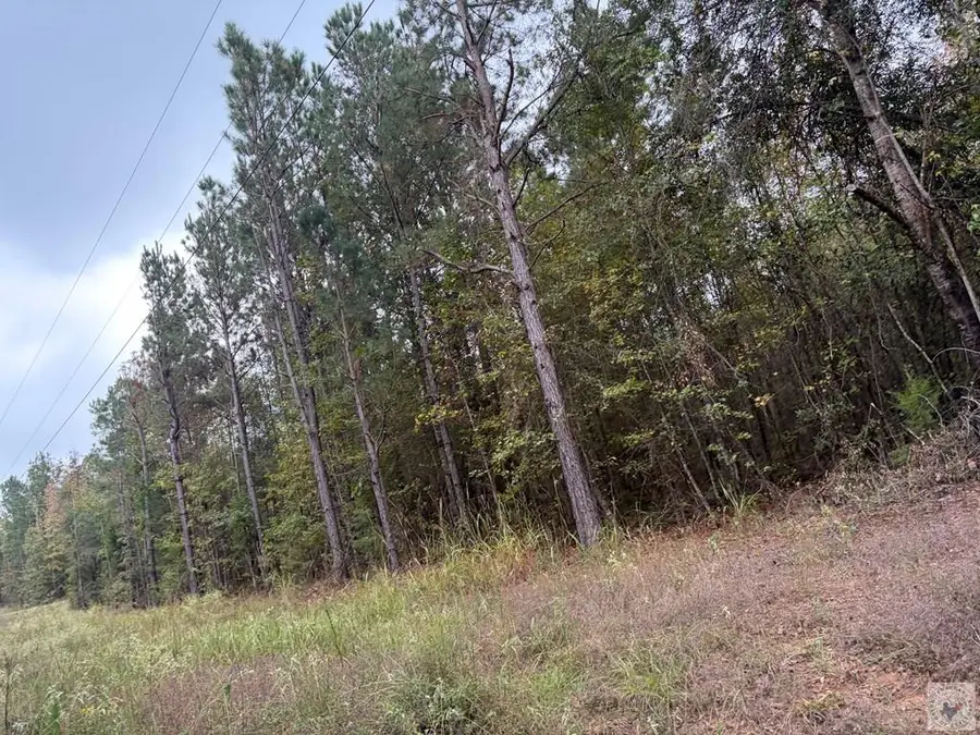 TBD Mc 35, Doddridge, AR 71834 - Image #3