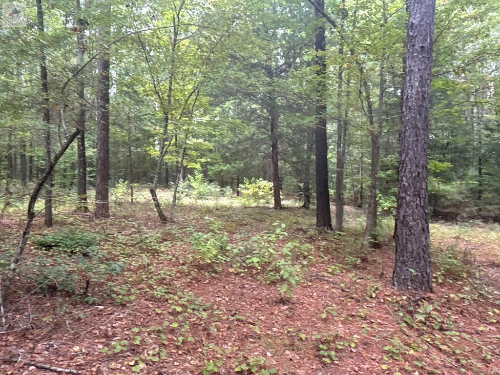 TBD Cr 1131, Linden, TX 75563 - Image #1