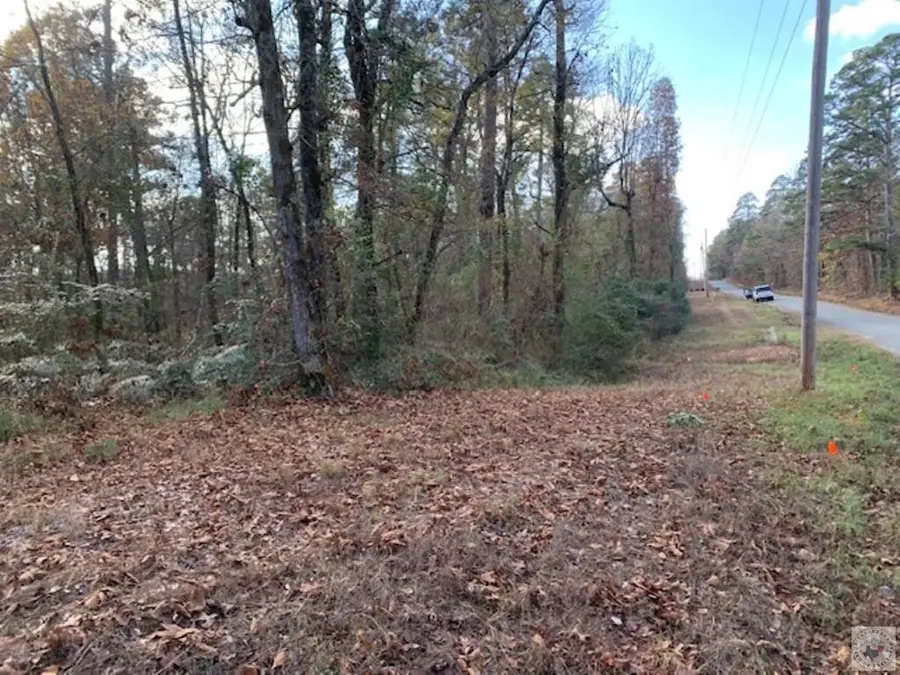 TBD Coca Cola Lake Rd. (mc 296), Texarkana, AR 71854 - Image #2