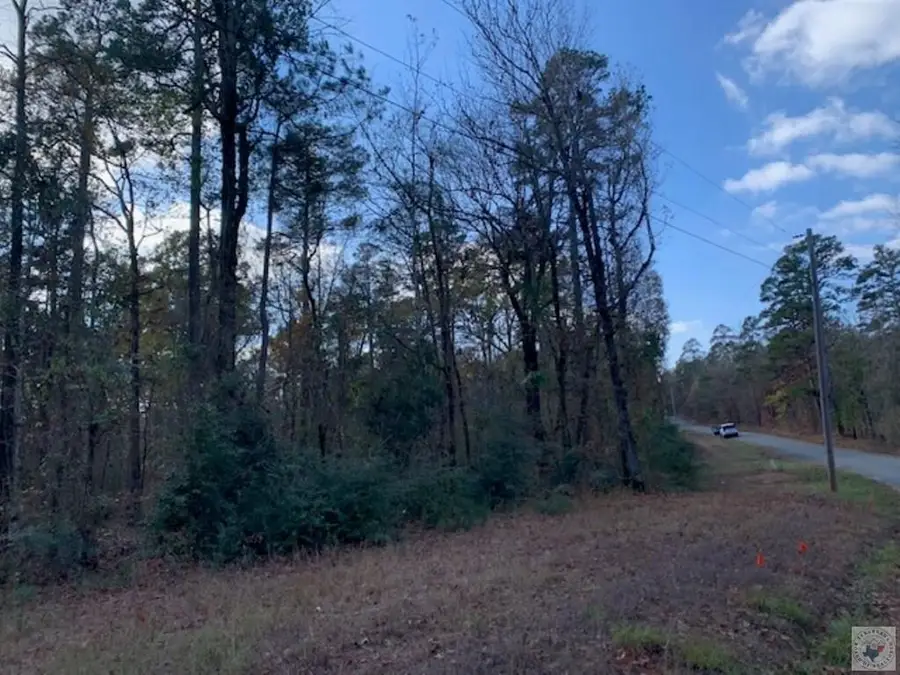 TBD Coca Cola Lake Rd. (mc 296), Texarkana, AR 71854 - Image #3