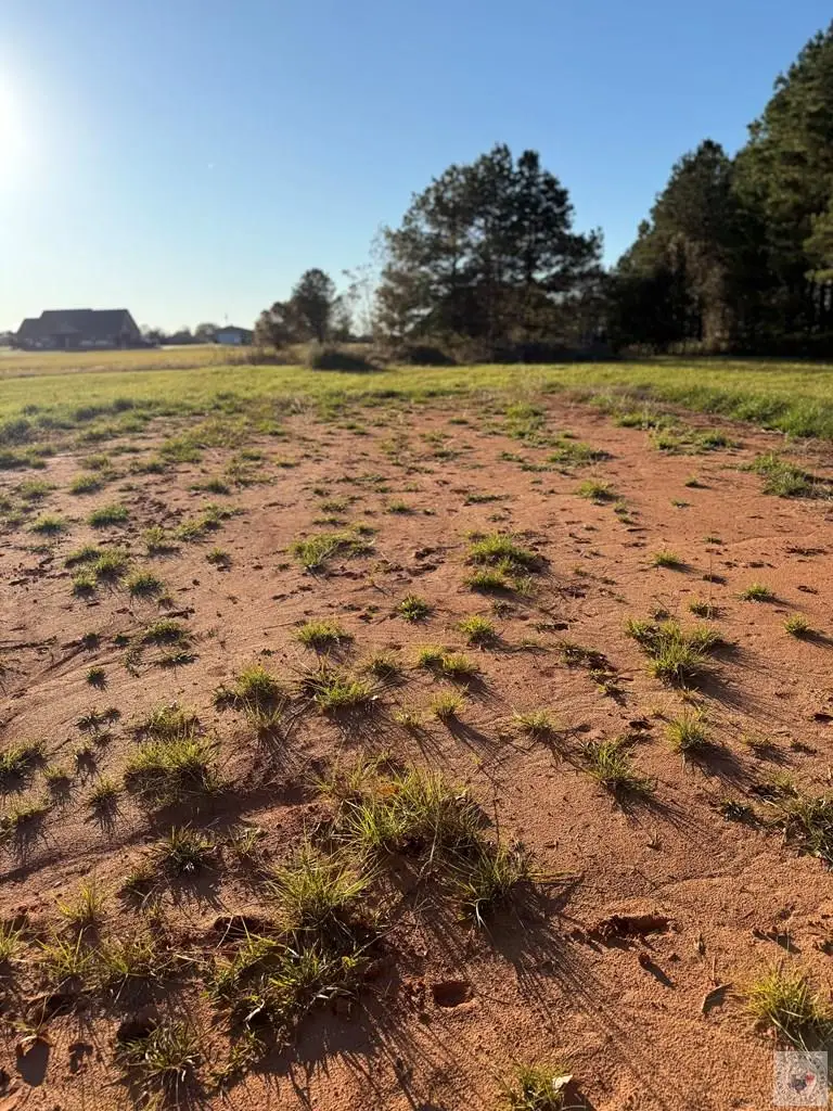 TBD Cr 2107, Hooks, TX 75561 - Image #3