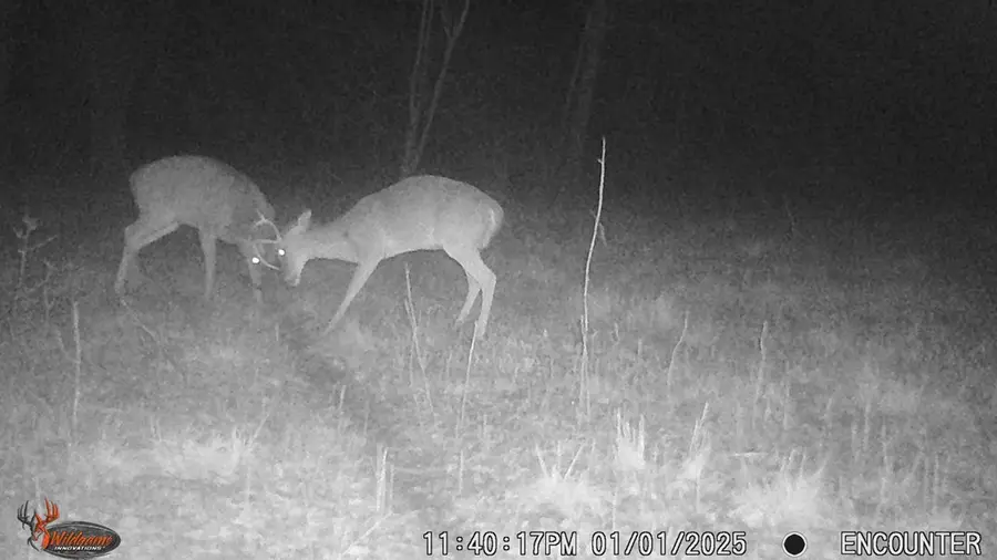 0 Cr 3302, De Kalb, TX 75559 - Image #2