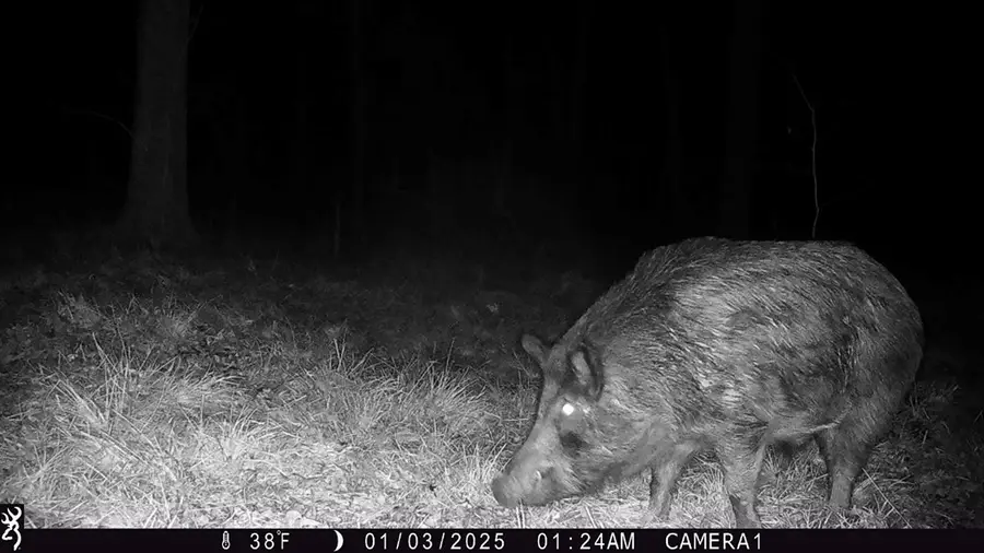 0 Cr 3302, De Kalb, TX 75559 - Image #3