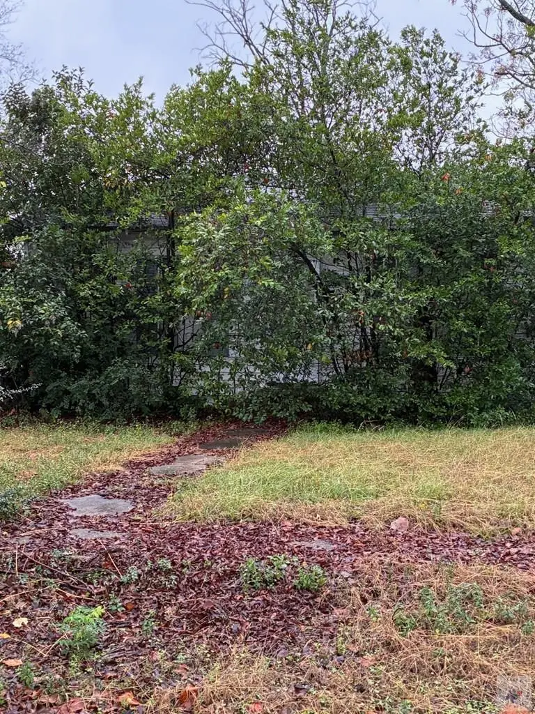 1501 & 1503 Laurel St, Texarkana, AR 71854 - Image #2