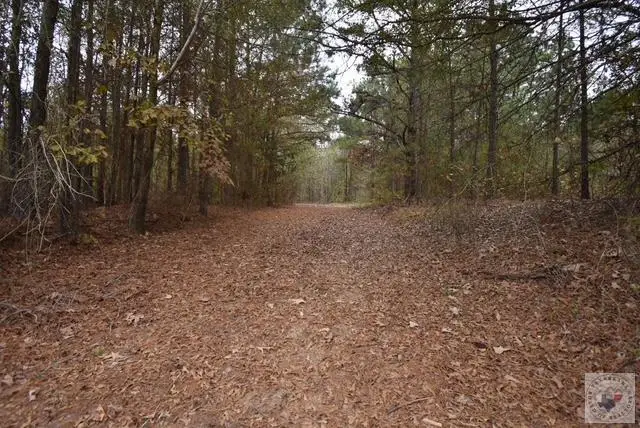 23 Sarah Ln, Texarkana, TX 75503 - Image #1