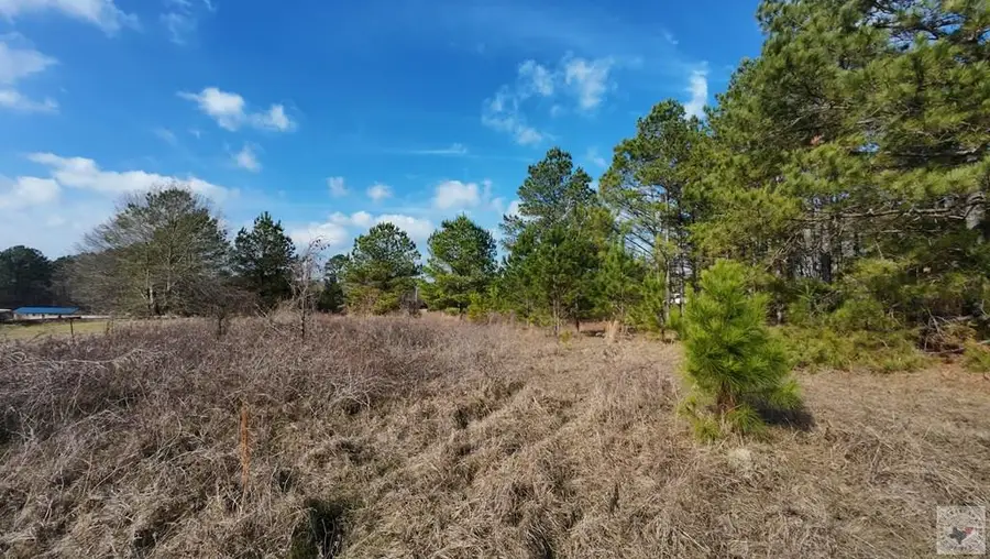 1405 Hwy 59 S, Linden, TX 75563 - Image #2