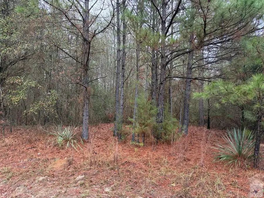 000 Cr 1608, Linden, TX 75563 - #2