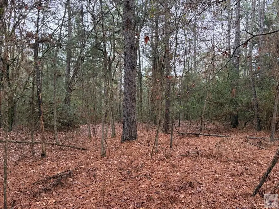 000 Cr 1608, Linden, TX 75563 - #3