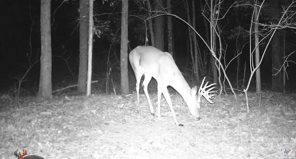 0 Cr 3216, De Kalb, TX 75559 - #1