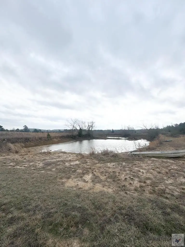 550 County Road 1460, Linden, TX 75563 - #1