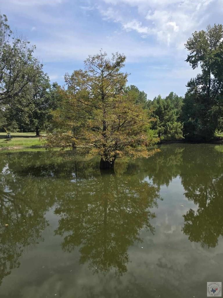 4622 Mcbride, Texarkana, AR 71854 - #3