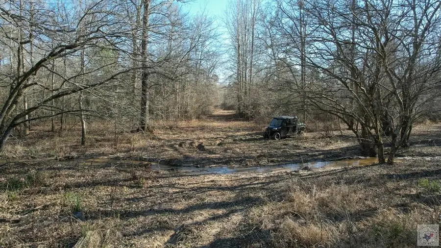 0000 Fm 728, Jefferson, TX 75657 - #3