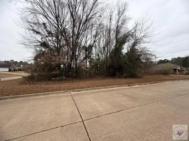 Lot 16 Corner Of Brown & Arizona, Wake Village, TX 75501 - Image #1
