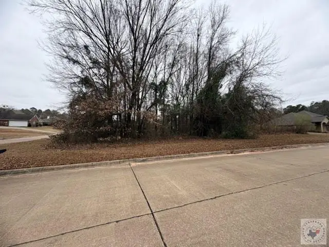 Lot 16 Corner Of Brown & Arizona, Wake Village, TX 75501 - Image #2