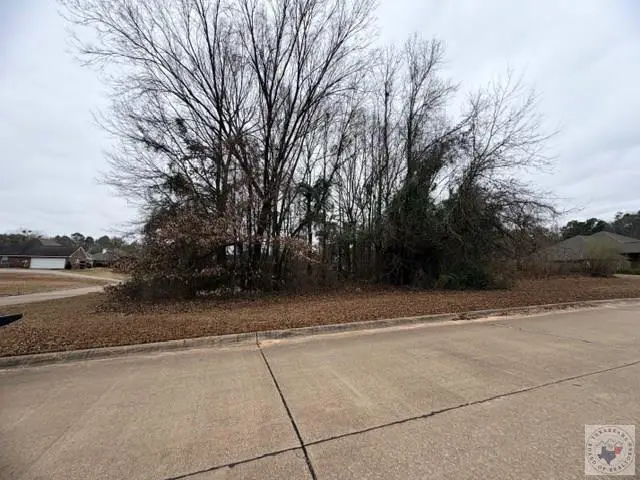 Lot 16 Corner Of Brown & Arizona, Wake Village, TX 75501 - Image #3