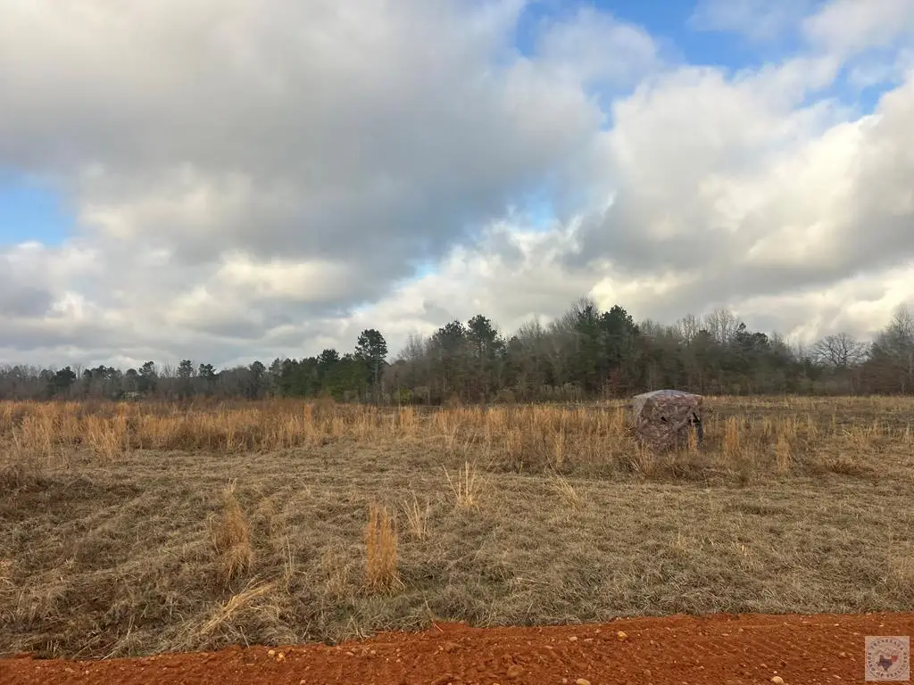 TBD Private Road 1108 (lot 18), Fouke, AR 71837 - Image #1