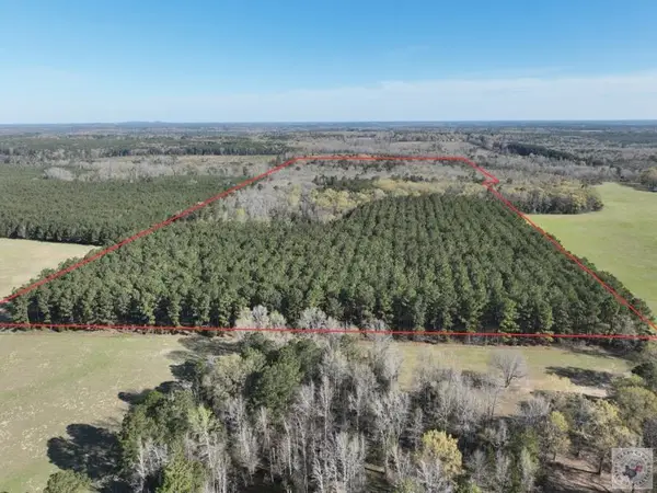 TBD Easement Rd., Linden, TX 75563