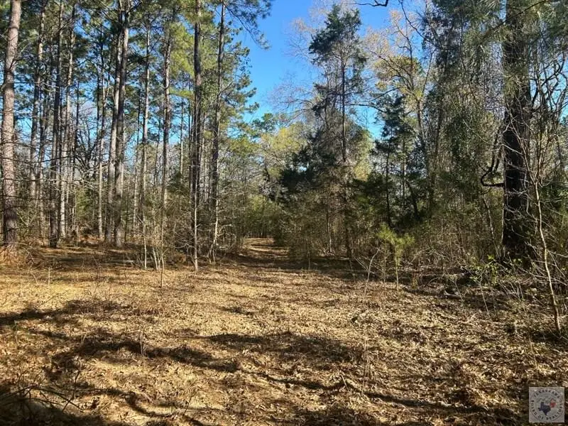 TBD Easement Rd., Linden, TX 75563 - #2