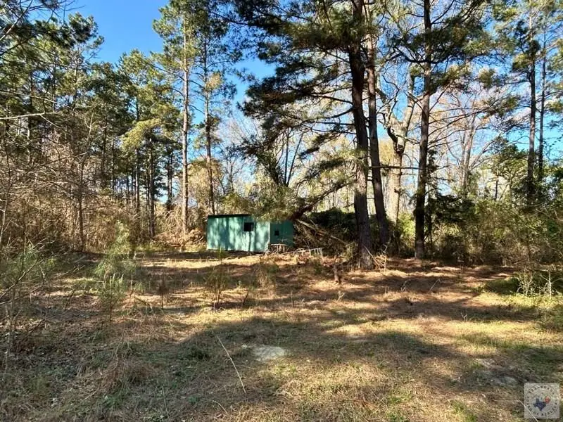 TBD Easement Rd., Linden, TX 75563 - #3