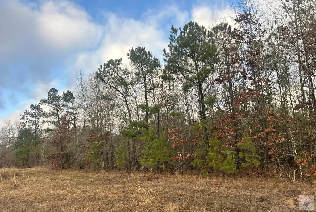 TBD Private Road 1108 (lot 20), Fouke, AR 71837 - Image #1