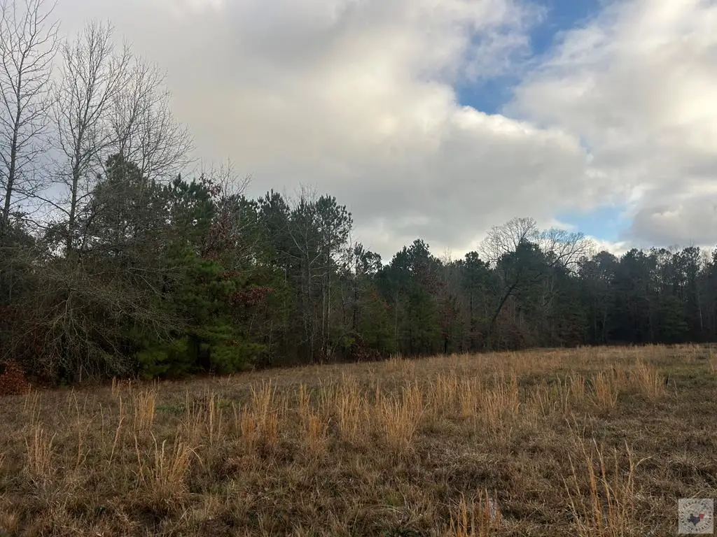 TBD Private Road 1108 (lot 28), Fouke, AR 71837 - Image #1