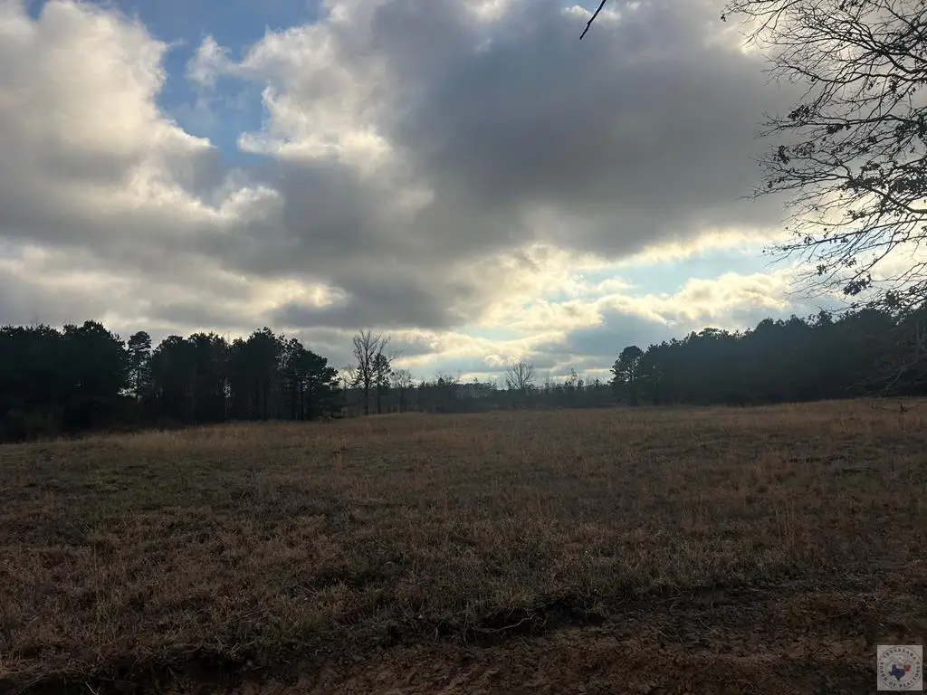 TBD Private Road 1108 (lot 21), Fouke, AR 71837 - Image #1