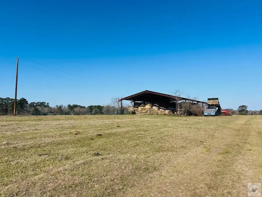 1805 Cr 3778, Queen City, TX 75572 - #2