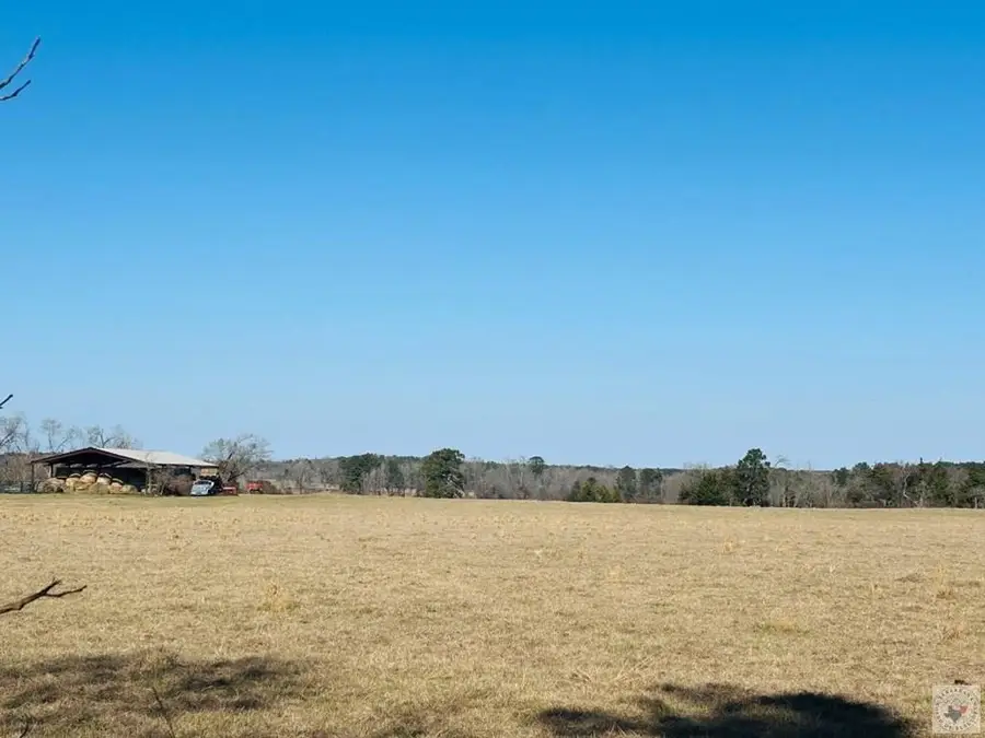 1805 Cr 3778, Queen City, TX 75572 - #3