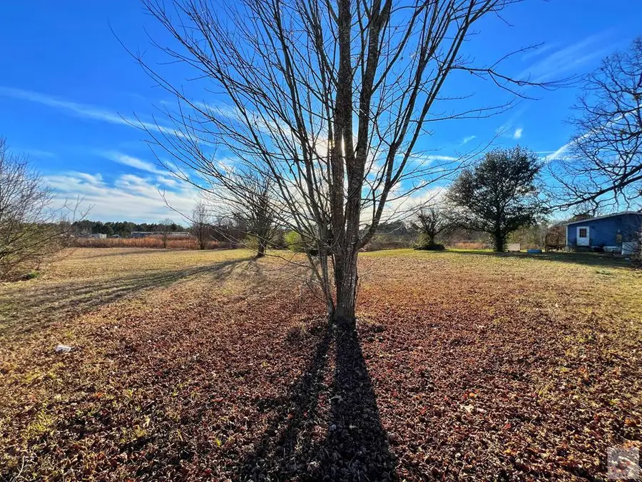 1309 Fm 3098, Maud, TX 75567 - Image #3