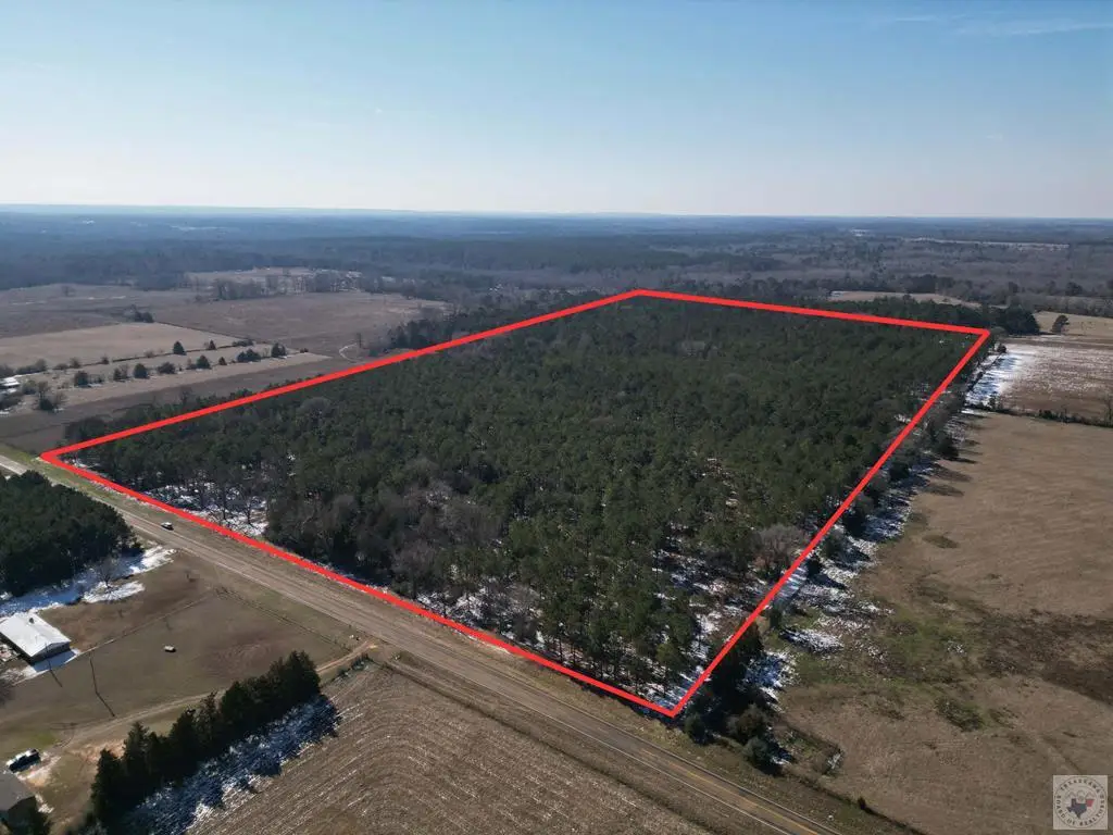 000 Fm 250, Naples, TX 75568 - #1