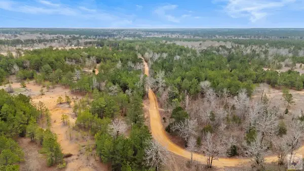 40 Acres Pr 1187, Texarkana, AR 71854