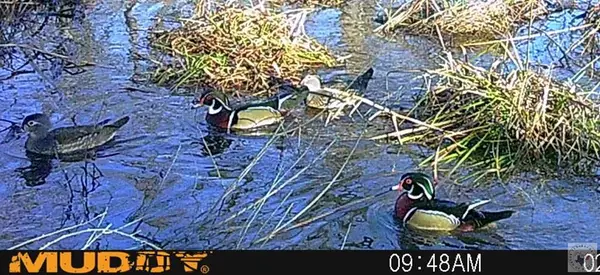 0 Cr 1120/1121, Atlanta, TX 75551