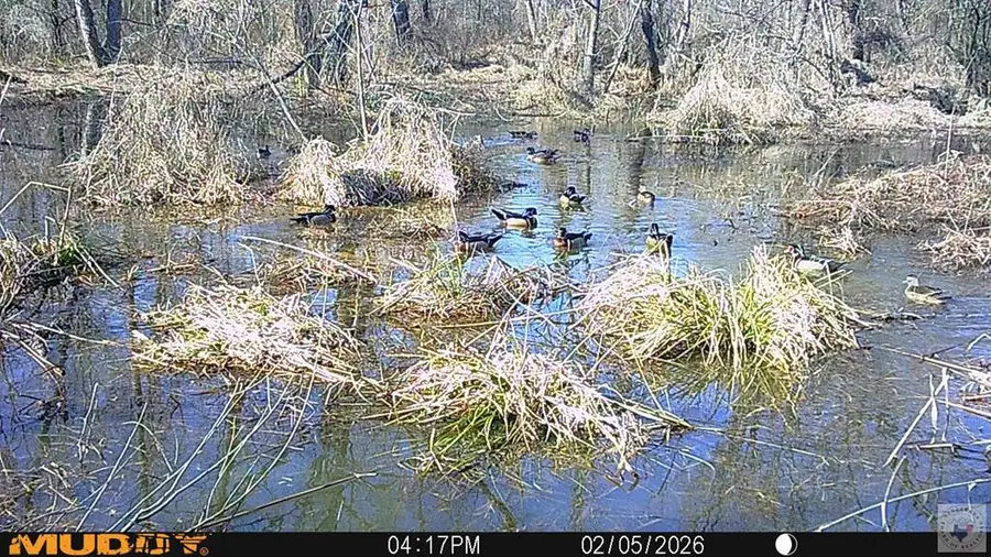 0 Cr 1120/1121, Atlanta, TX 75551 - #2