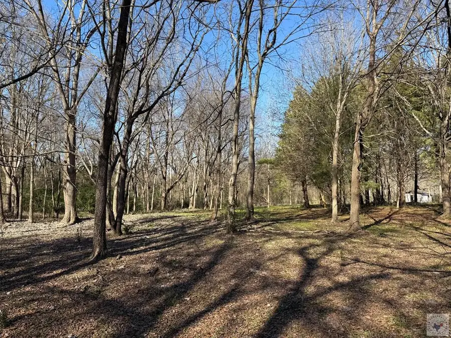 10743 Fm 561, Simms, TX 75574 - #2