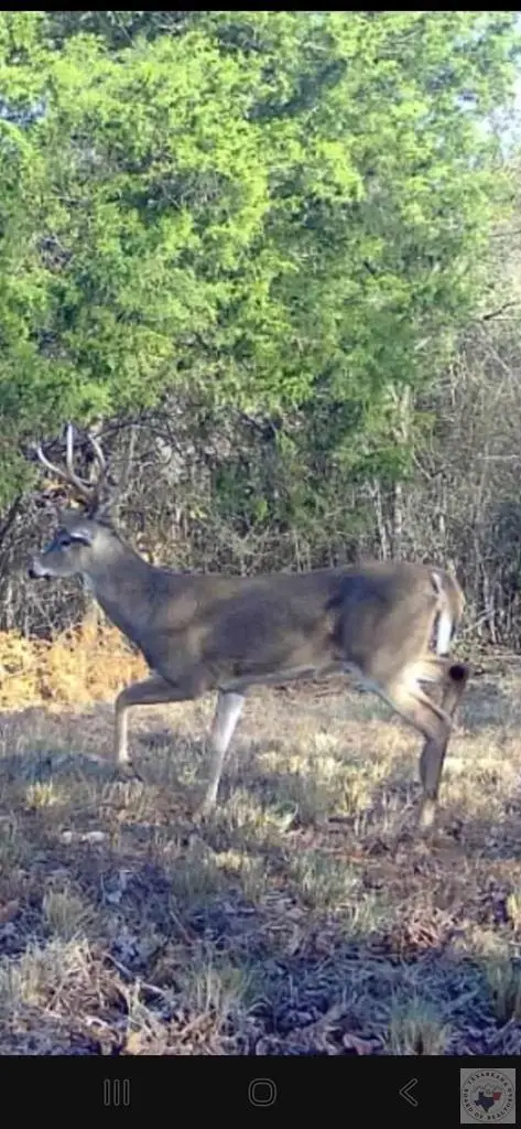 000 Mc 30, Doddridge, AR 71834