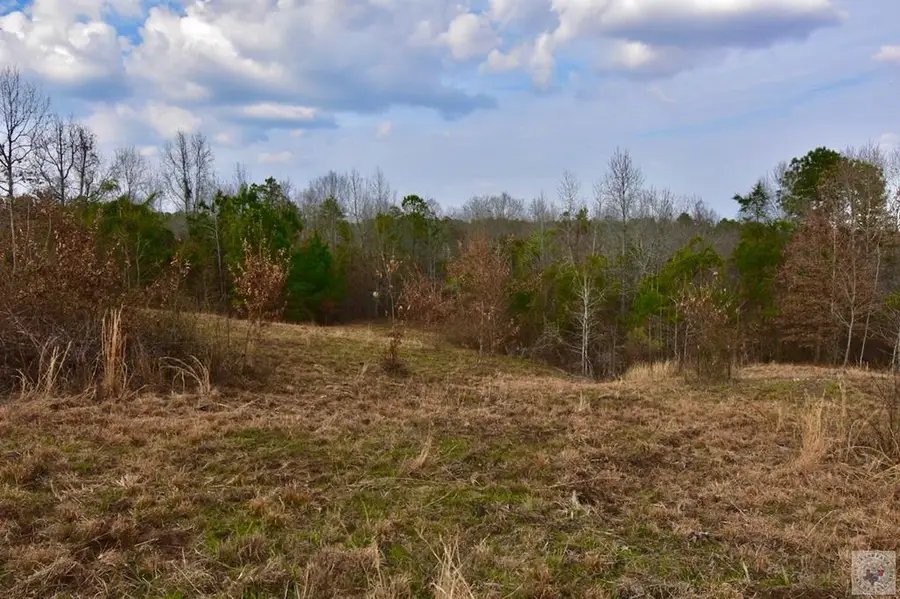 000 Mc 30, Doddridge, AR 71834 - #3