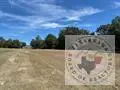 2727 N Shady Hollow, Mount Pleasant, TX 75455 - #3