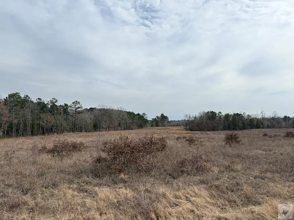 TBD Tx Hwy 8, Linden, TX 75563 - #1