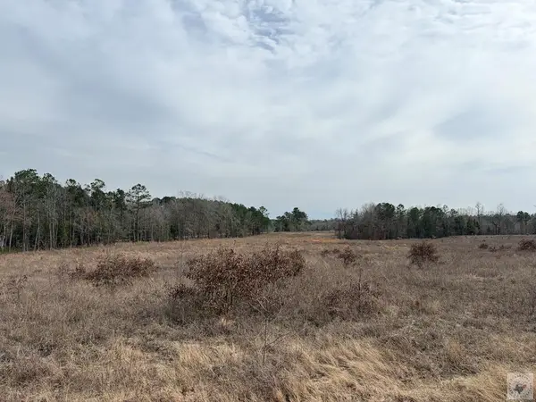 TBD Tx Hwy 8, Linden, TX 75563