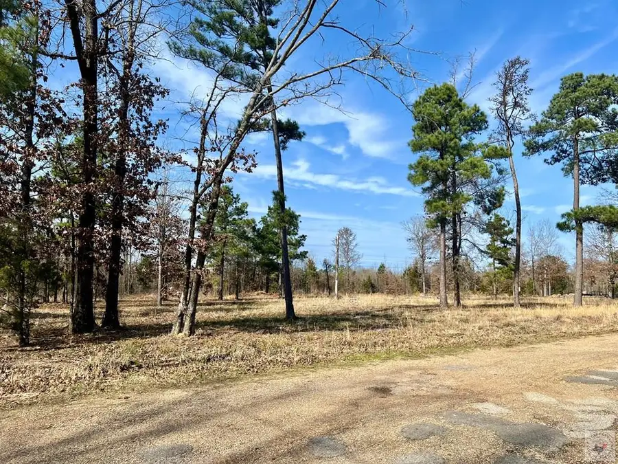 0 Country Club Ln, Ashdown, AR 71822 - #3