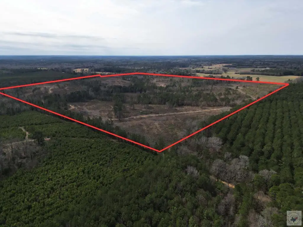 TBD Cr 2229, Atlanta, TX 75551 - #1