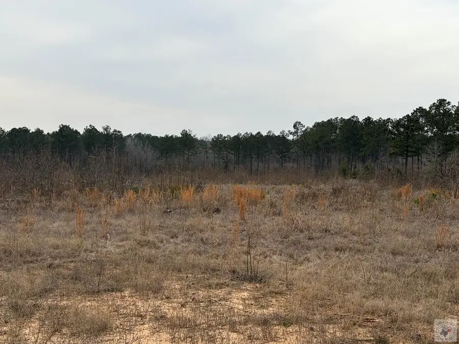 TBD Cr 2229, Atlanta, TX 75551 - #2
