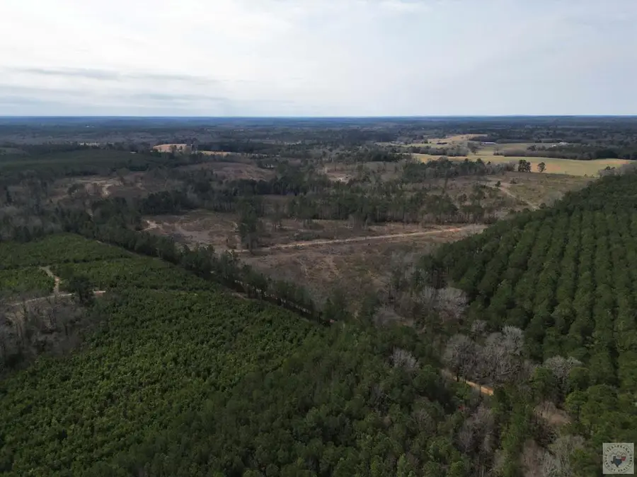 TBD Cr 2229, Atlanta, TX 75551 - #3