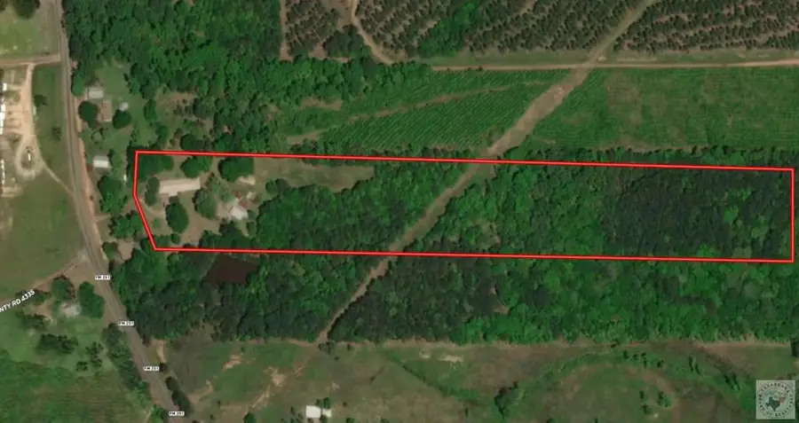 6659 S Fm 251, Bivins, TX 75555 - #3